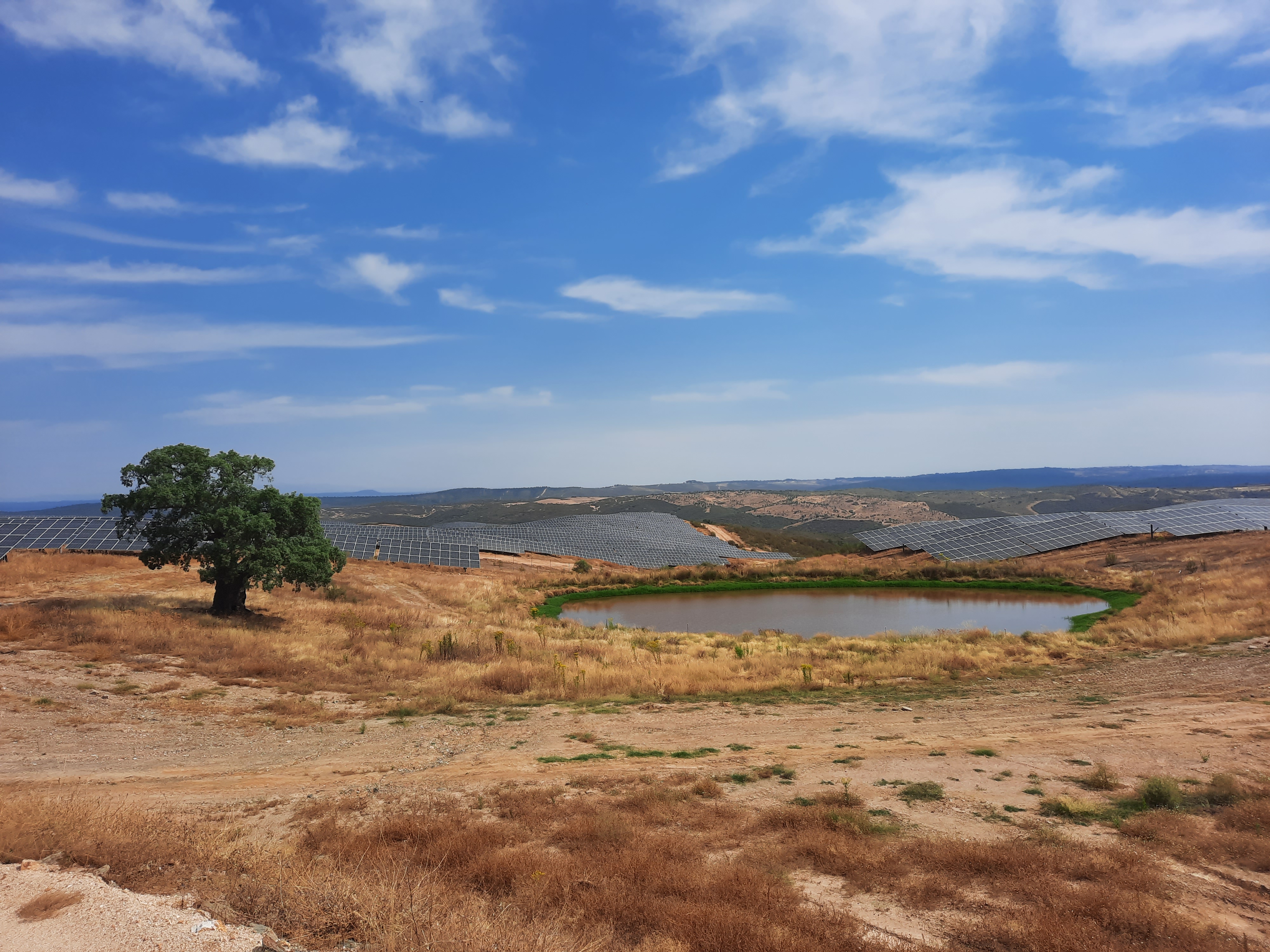 Foto Iberdrola inicia la puesta en marcha de 100 nuevos MW solares en Extremadura que suministrarán energía limpia a 45.000 hogares.